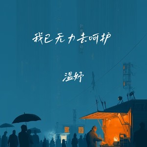我已无力去呵护封面