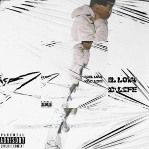 Wild life (feat. PLM Bradyn) (Explicit)