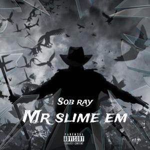 Mr Slime em (Explicit)