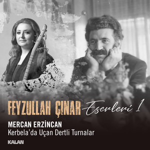 Kerbela'da Uçan Dertli Turnalar (Feyzullah Çınar Eserleri 1)