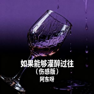 如果能够灌醉过往 (伤感版)