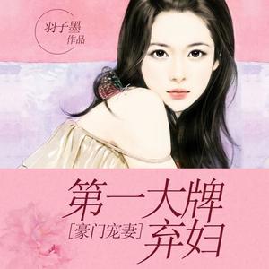 豪门宠妻：第一大牌弃妇