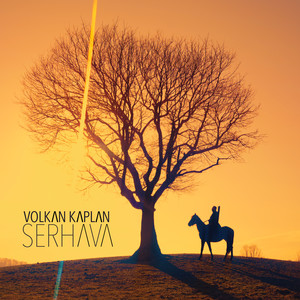 Ey Şahin Bakışlı