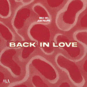 Back In Love (Extended Mix)