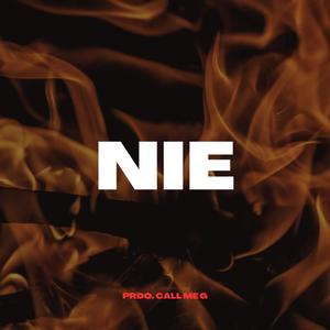 NIE (Explicit)