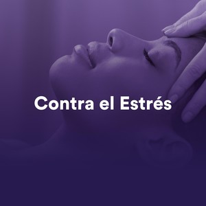 Relajación: Bienestar
