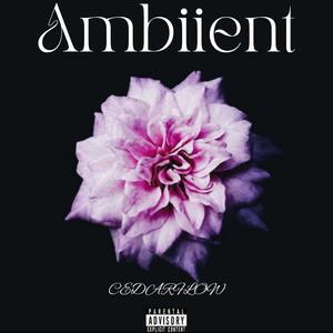 midnight clouds (Explicit)