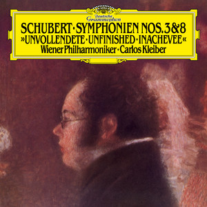 Symphony No. 3 in D, D.200 - Schubert: Symphony No. 3 in D, D.200 - I. Adagio maestoso - Allegro con brio (D大调第3号交响曲，作品200 - 第一乐章 庄严的柔板 - 富有活力的快板)