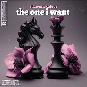 the one i want (Explicit)