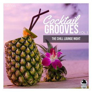 Cocktail Grooves, Vol. 3: The Chill Lounge Night