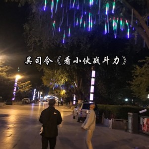 梁胜皓 - 迎风而去 遇水而落 (DJ版)