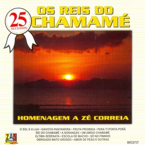 25 Sucessos: Os Reis do Chamamé (Homenagem a Zé Correia)