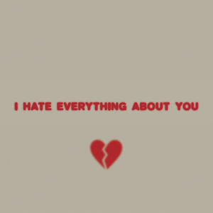 I Hate Everything About You