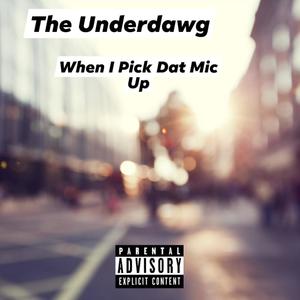 When I Pick Dat Mic Up (Explicit)