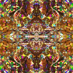 INTENTIONS (Explicit)