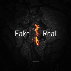 Fake / Real (Explicit)