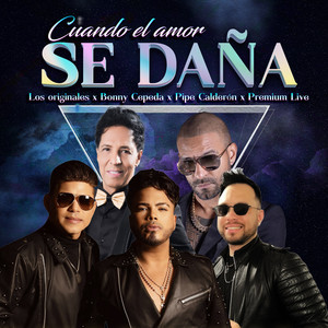 Cuando El Amor Se Daña