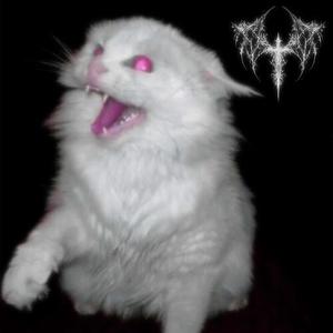 Claymore (Super Slowed)