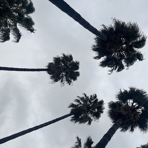 Paintball (Explicit)