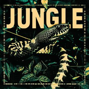 Jungle (Drum & Bass Liquid)
