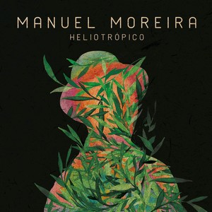 Heliotrópico