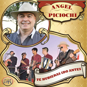 Te Hubieras Ido Antes