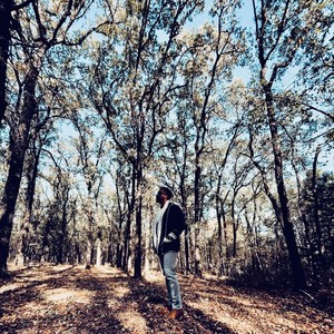 Joy Cometh in the Morning