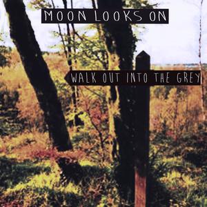Walk Out Into The Grey