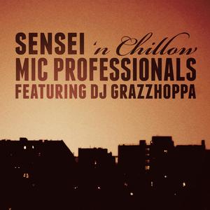 Mic Professionals (feat. Dj Grazzhoppa|Explicit)