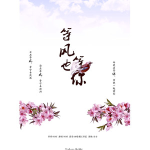 等风也等你封面