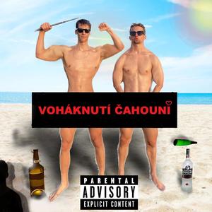 DÁM SI JEŠTĚ PIVO (feat. DRAGWLYA) (Explicit)