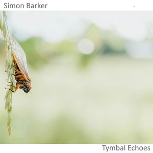 Tymbal Echoes