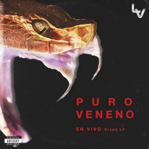 Puro Veneno En Vivo