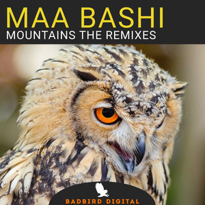 Mountains The Remixes