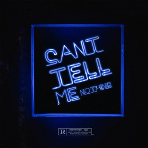 Can't Tell Me Nothing (Explicit)