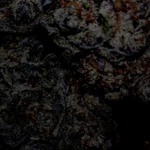 gourmet smoker (feat. Stress Kidd, Twizzyx, ssanxxo & esu0k) (Explicit)