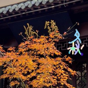 那年夏天我学会了在被子里抱紧自己