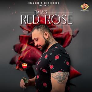 Red Rose