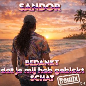 Bedankt Dat Je Mij Heb Geblokt Schat (No Genre Remix)