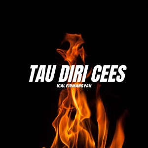 TAU DIRI CEES