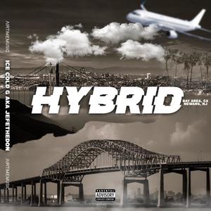 Hybrid (Deluxe Edition) [Explicit]