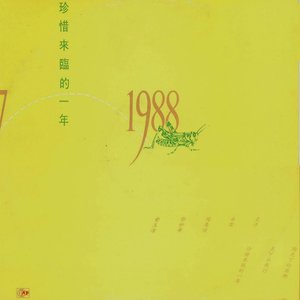 拨动尘封的琴弦封面