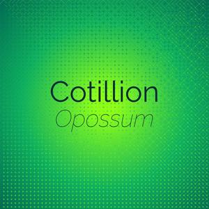 Cotillion Opossum