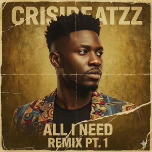 All I Need (Remix Pt. 1)
