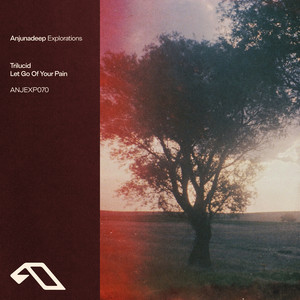 Trilucid - Let Go Of Your Pain