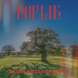 Slow Motion Days