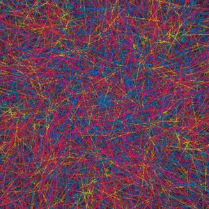 rave with love (Edit)