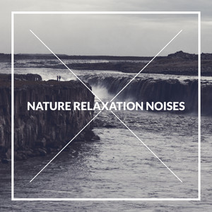 Nature Relaxation Noises: 2020 Mix of Music with Nature Sounds, Collection of Tracks for Full Relaxation, Rest, Calm Down, Fight with Bad Thoughts