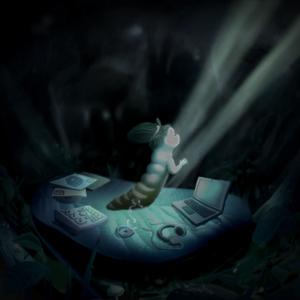 MAINCZYK KRAWALLCZYK