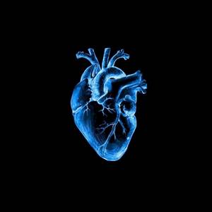 Nos teus Braços (Explicit)